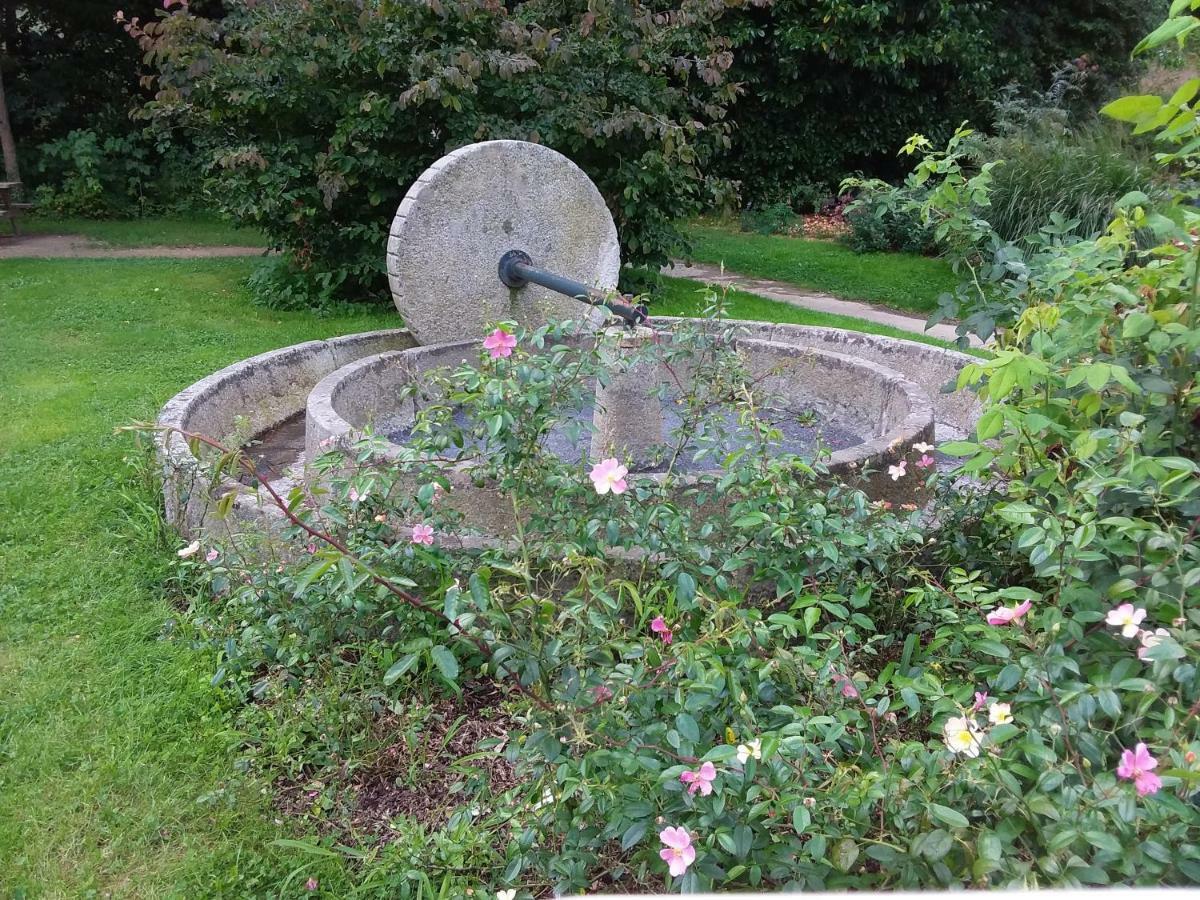 L'Orchidee Villa Lassay-les-Chateaux Exteriör bild
